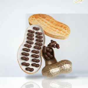 شوكليت السنجاب